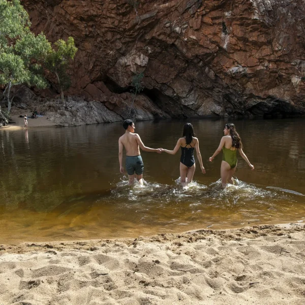 day tours from alice springs