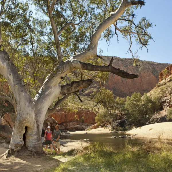 west macdonnell ranges day tour