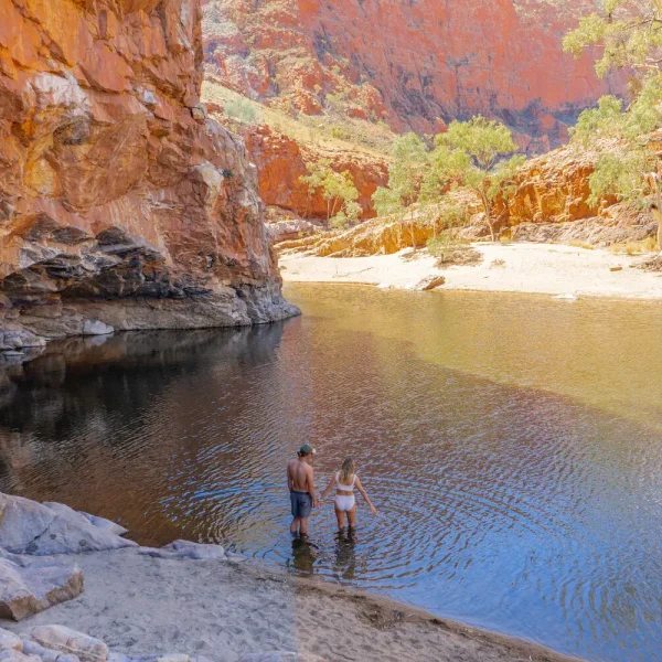 alice springs tours one day