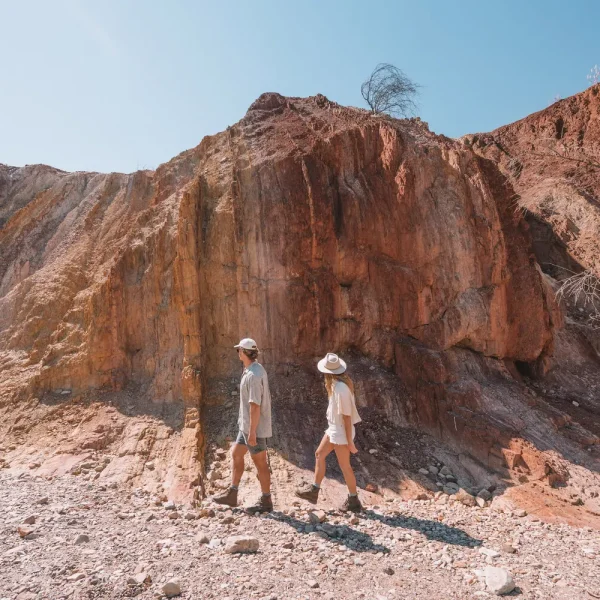 day trips from alice springs