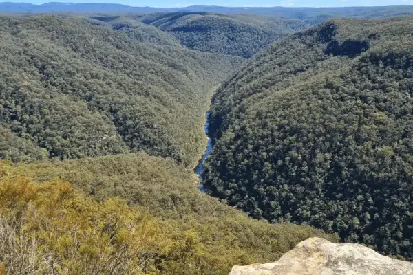 why are the blue mountains blue