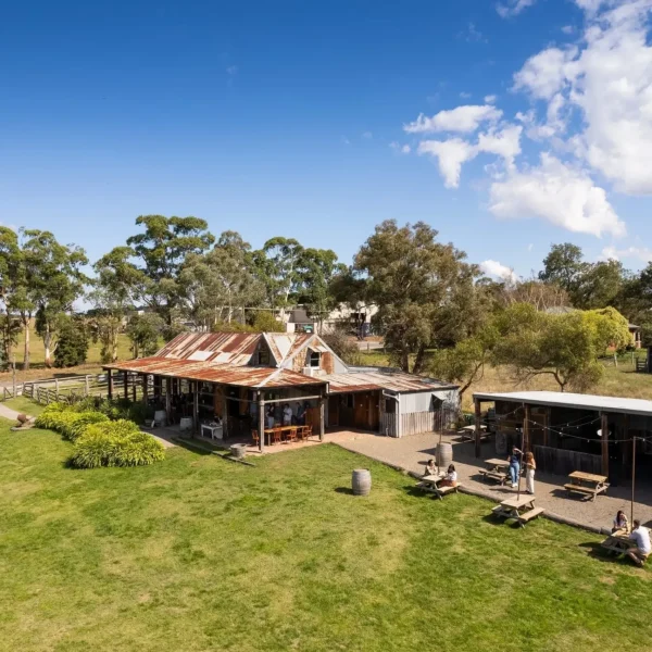 wine tasting and tours near me