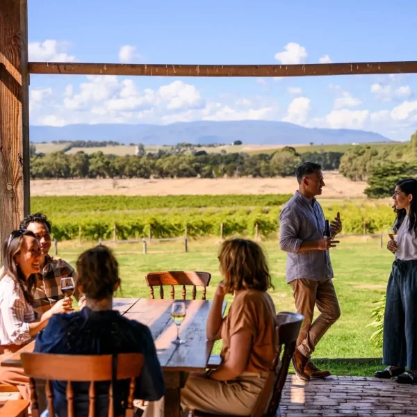 wine tasting yarra valley