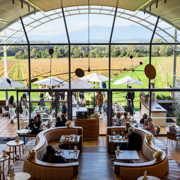 wine tour yarra valley