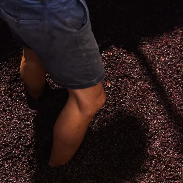 wine tours from melbourne