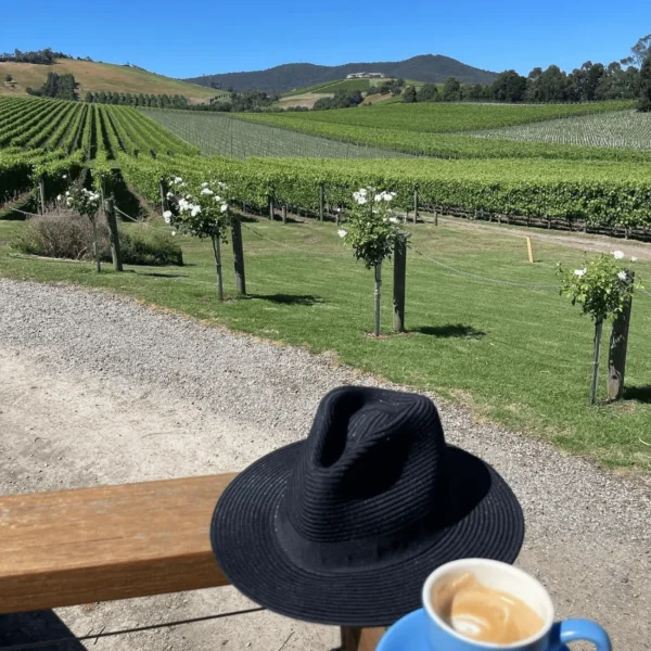 wine tours