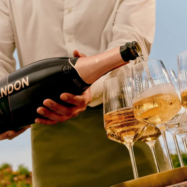 winery bus tours yarra valley