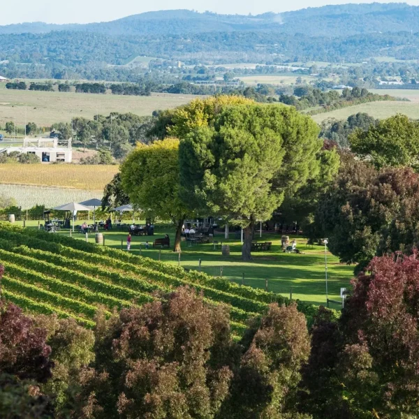 winery tours from melbourne