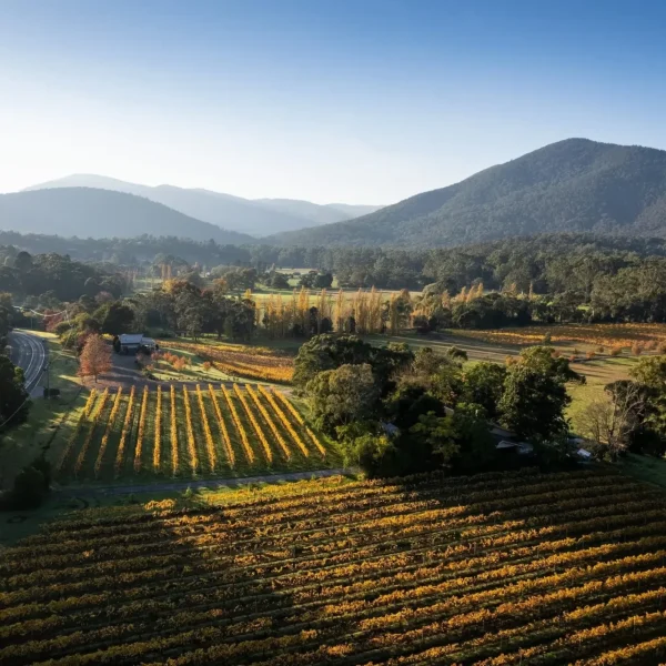 yarra valley private tours