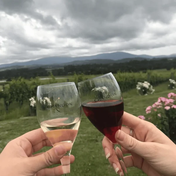 yarra valley private winery tours