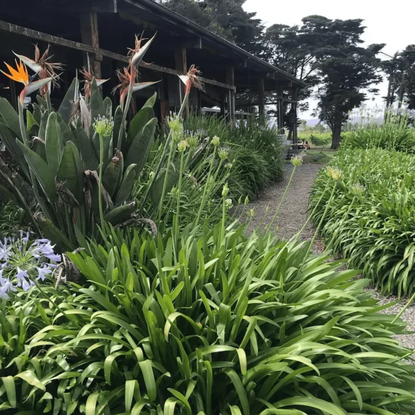 yarra valley tour melbourne