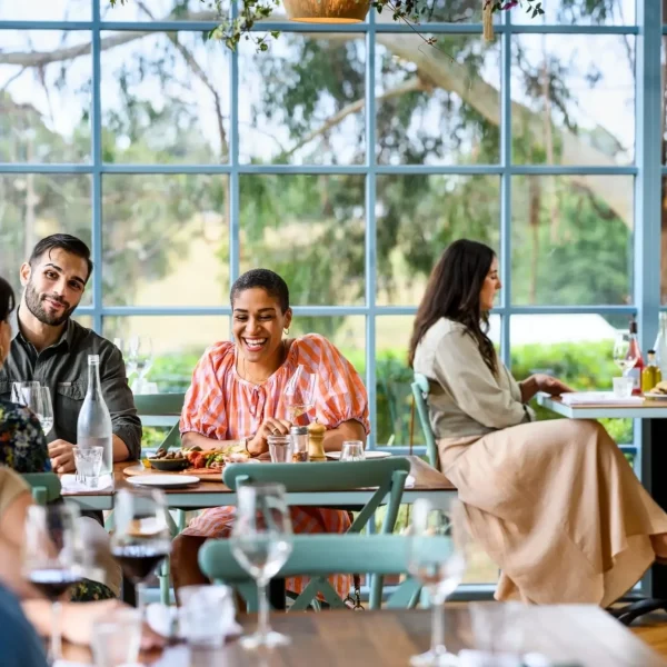 yarra valley vineyard tour