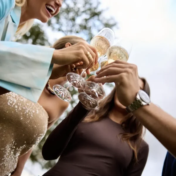 yarra valley wine and winery tour from melbourne