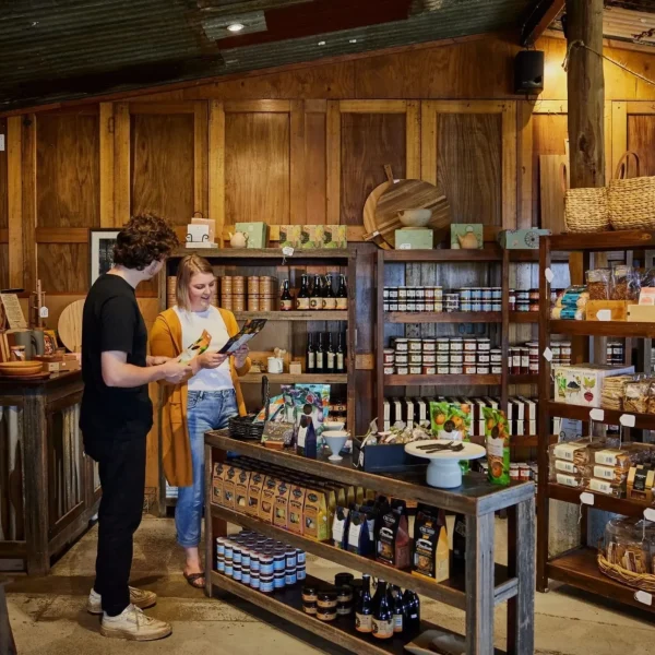 yarra valley wine tasting tours