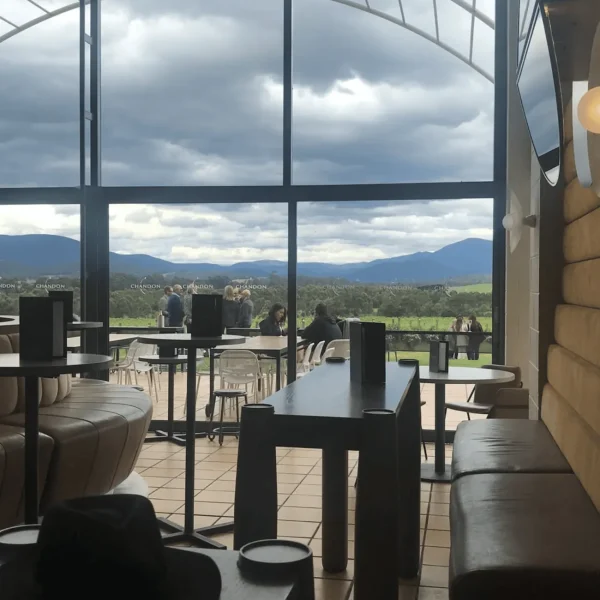 yarra valley wine tour from melbourne