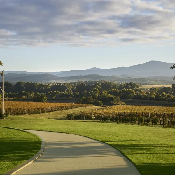 yarra valley wine tour melbourne