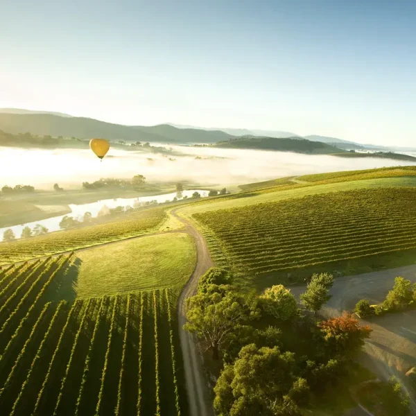yarra valley wine tour