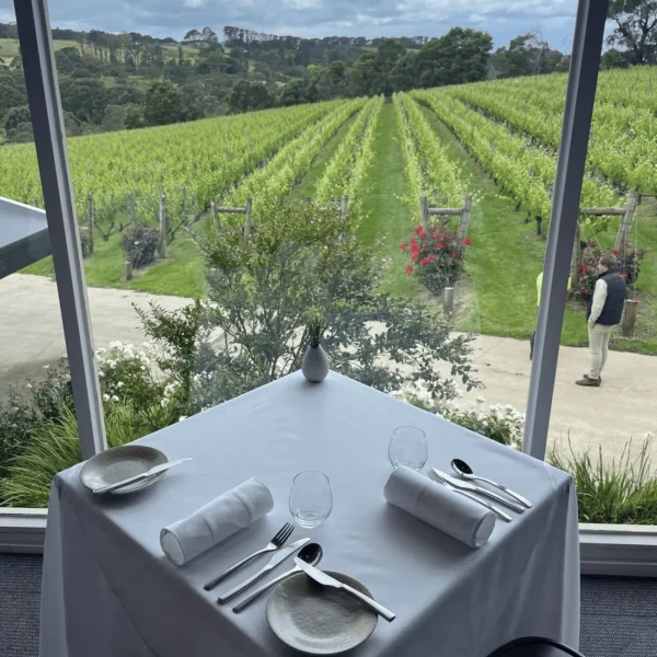 yarra valley wineries tours