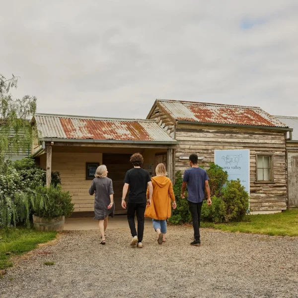 yarra valley winery tours