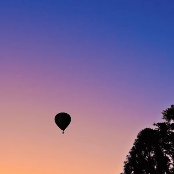yarra wine tours melbourne