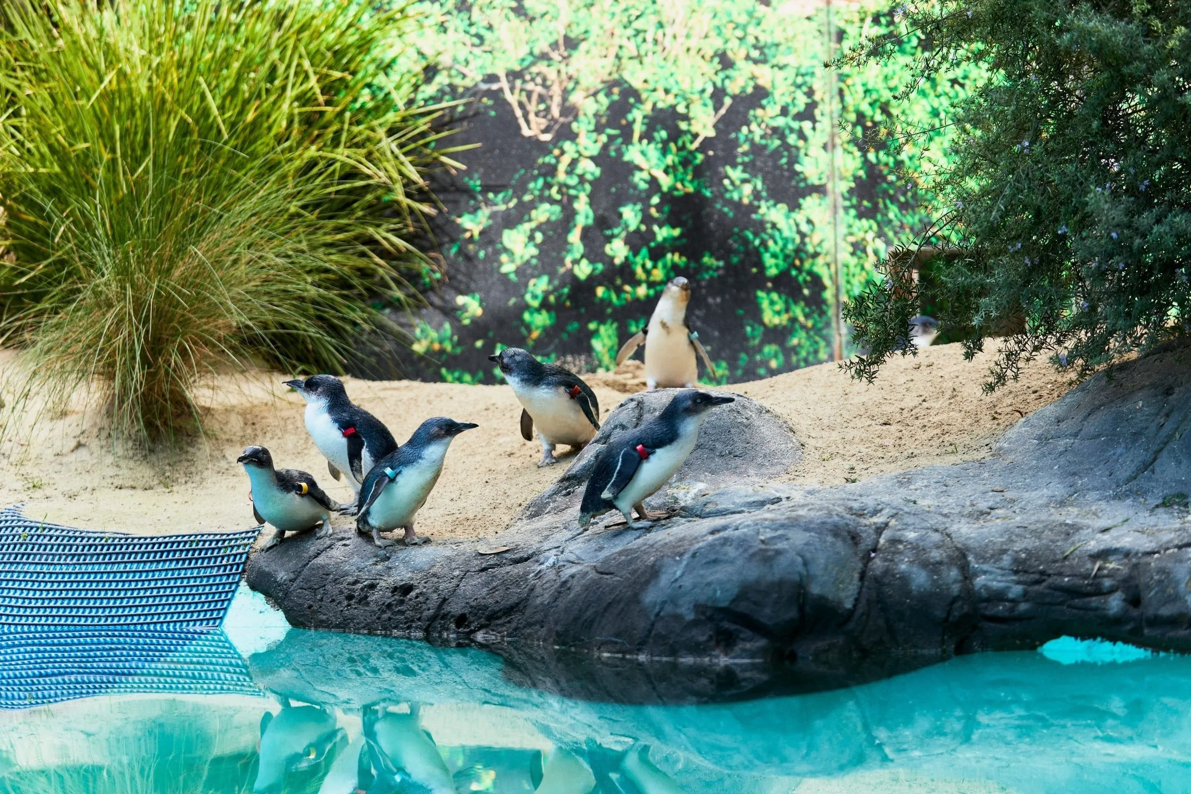 fun things to do ballarat