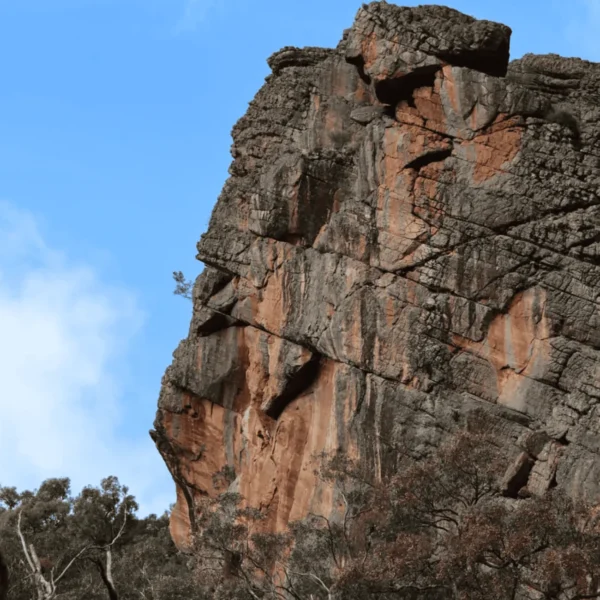 grampians 1 day tour