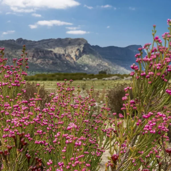 grampians day tour
