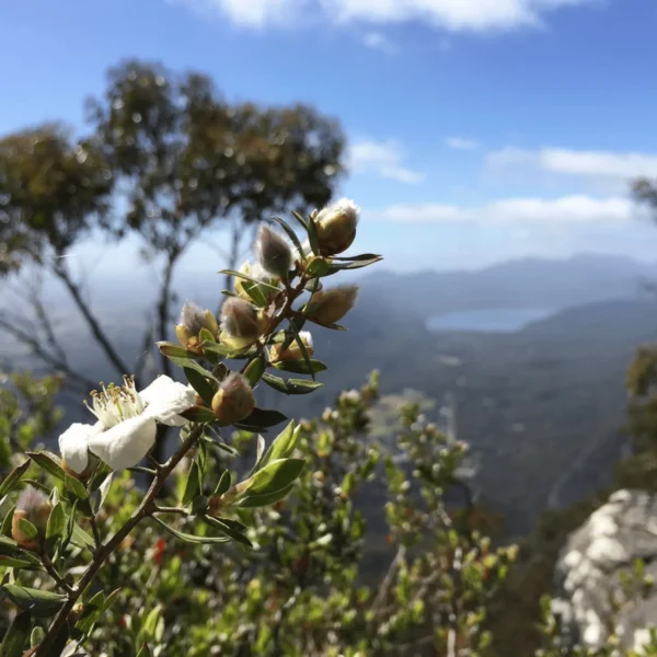 grampians day tour melbourne