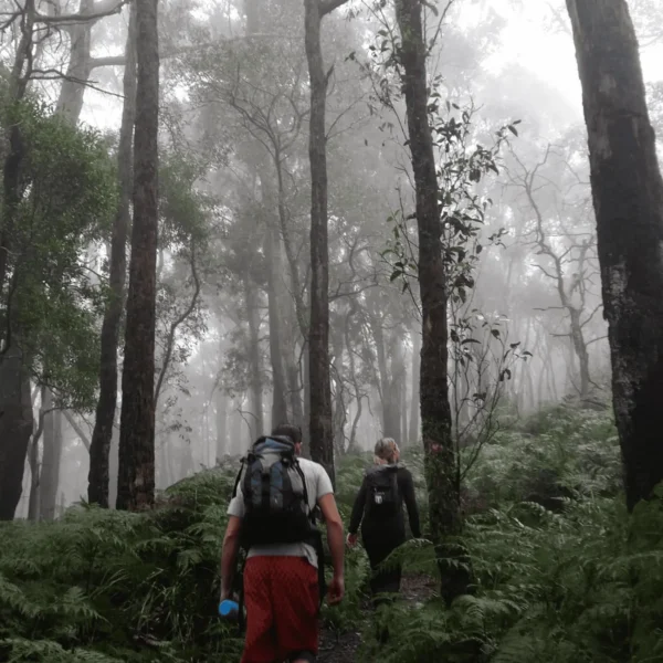 grampians one day tour
