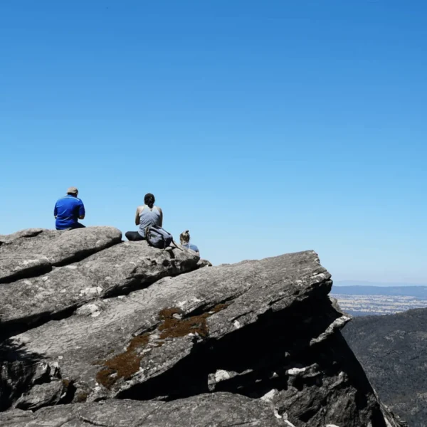 grampians tours
