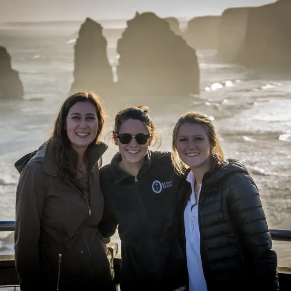 great ocean road reverse itinerary boutique tours