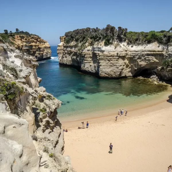 tripadvisor great ocean road tour