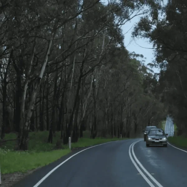 great ocean road tour adelaide to melbourne