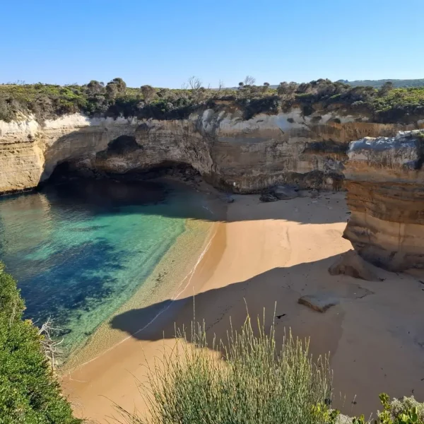 great ocean road tours