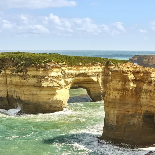 great ocean road tours from adelaide