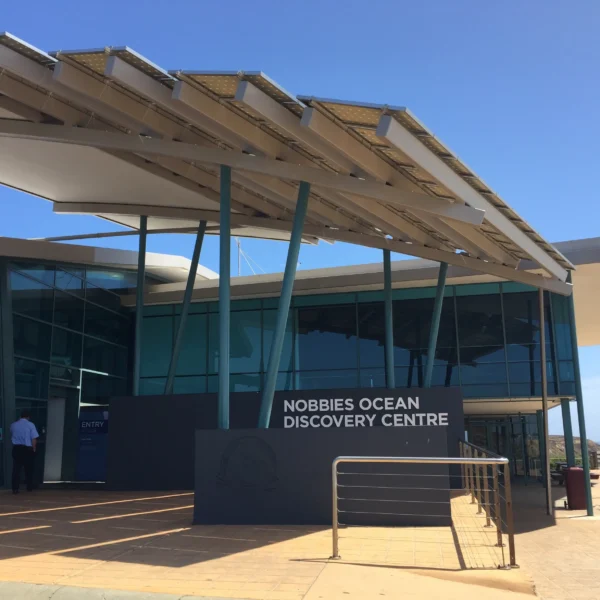 hotels near penguin parade