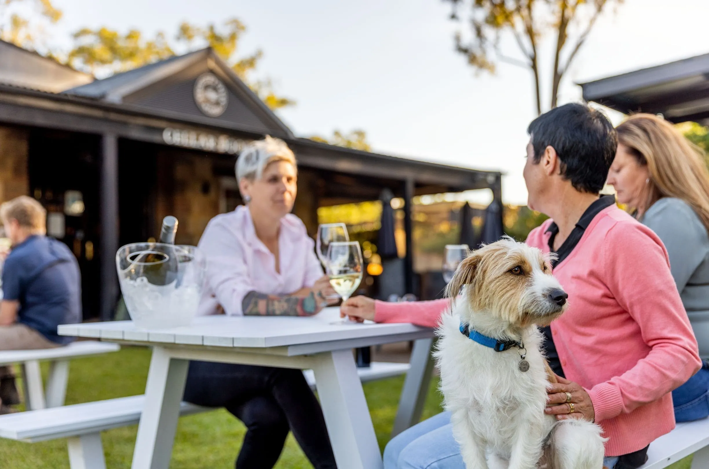 hunter valley sightseeing