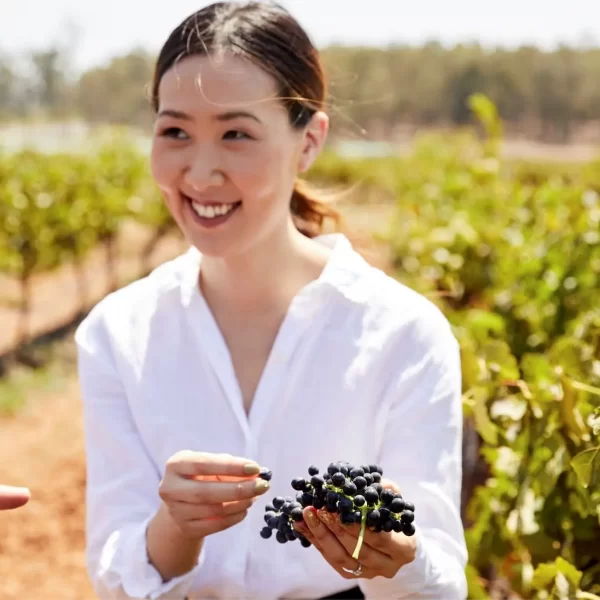 hunter valley wine tour packages