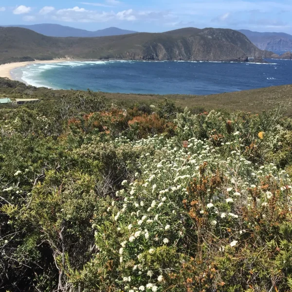 itinerary tasmania 10 days