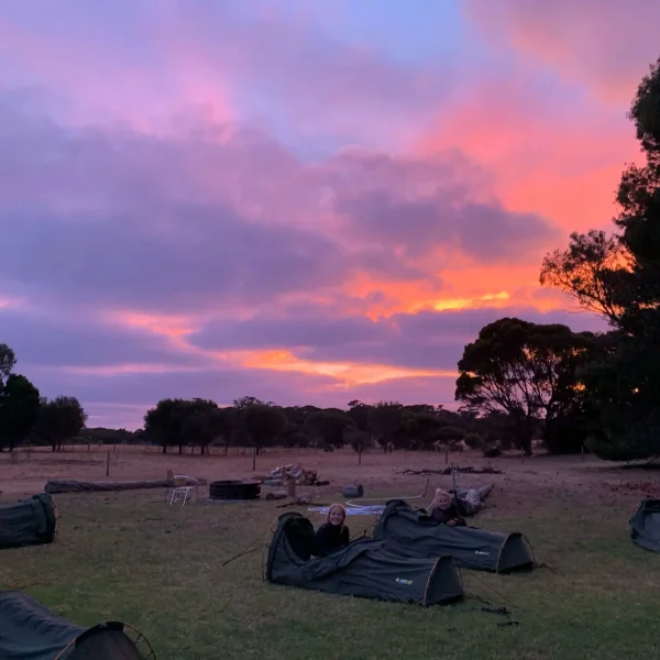 kangaroo island tour from adelaide