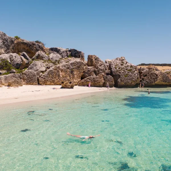 kangaroo island tours adelaide