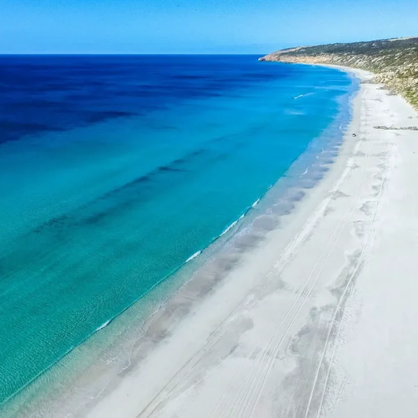 kangaroo island trips