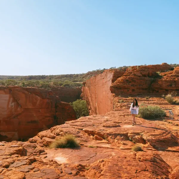 kings canyon and outback panoramas tour