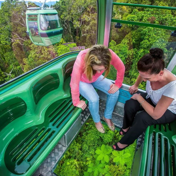 kuku yalanji cultural rainforest tour