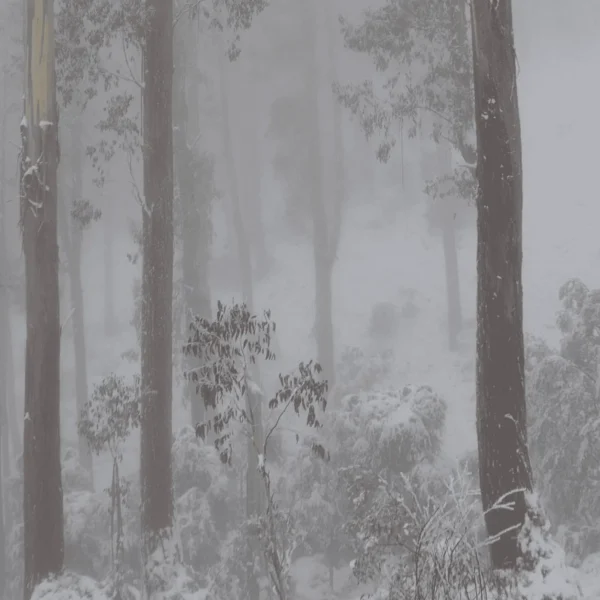 lake mountain snow tour