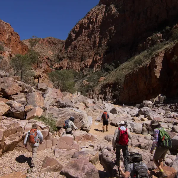 larapinta trek tour