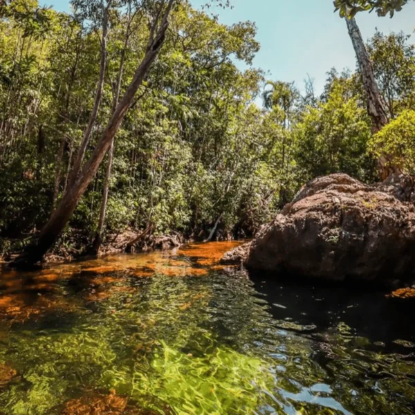 litchfield national park