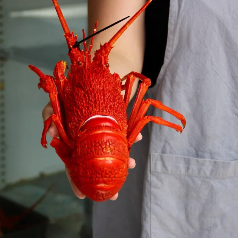 local seafood in Port Campbell