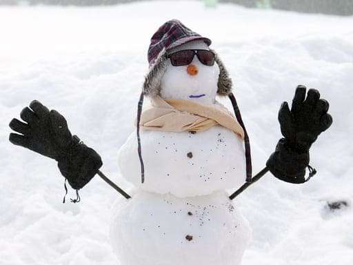 melbourne snow day trips
