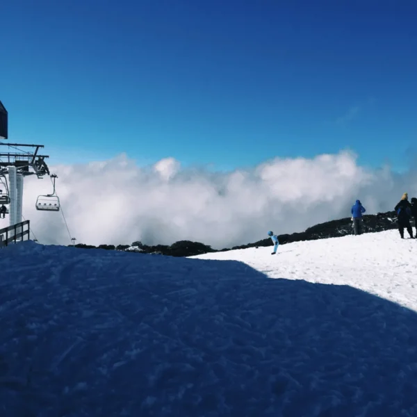 mount buller day tour